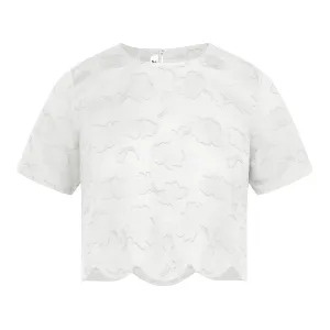 Arles Meringue Scallop Top