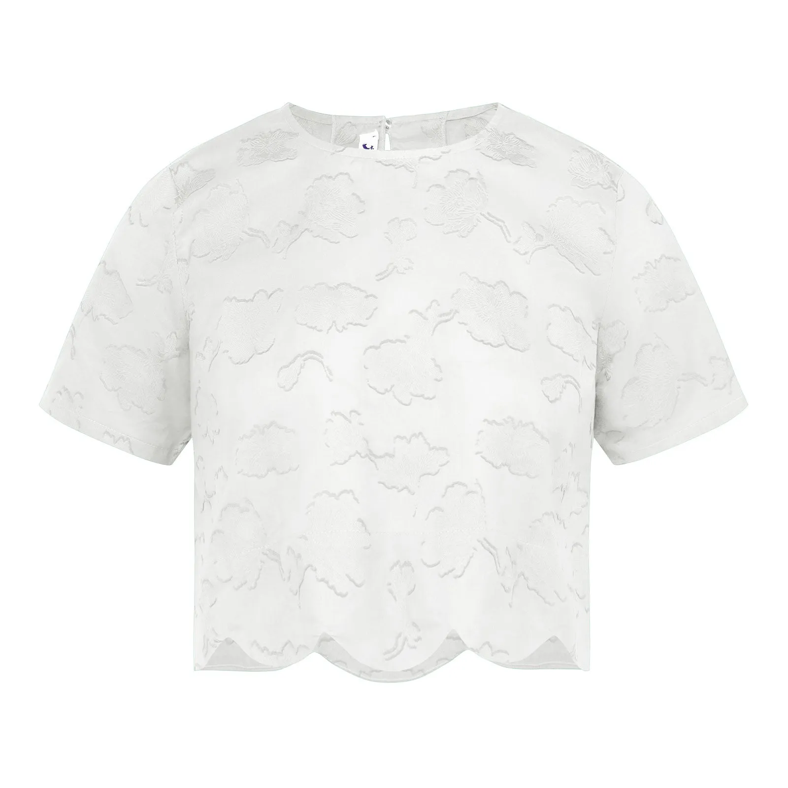 Arles Meringue Scallop Top