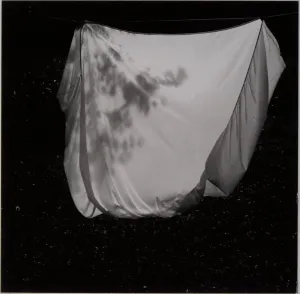 Fitted Sheet On The Line