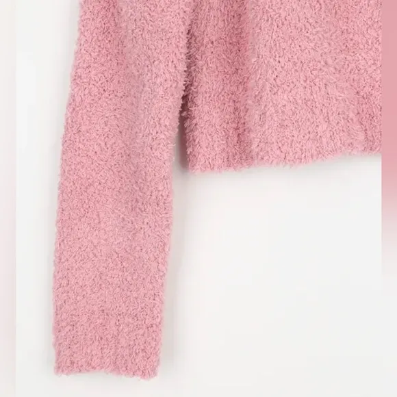 Lulu’s Symmetrical Cropped Sweater in Pink • Mauve