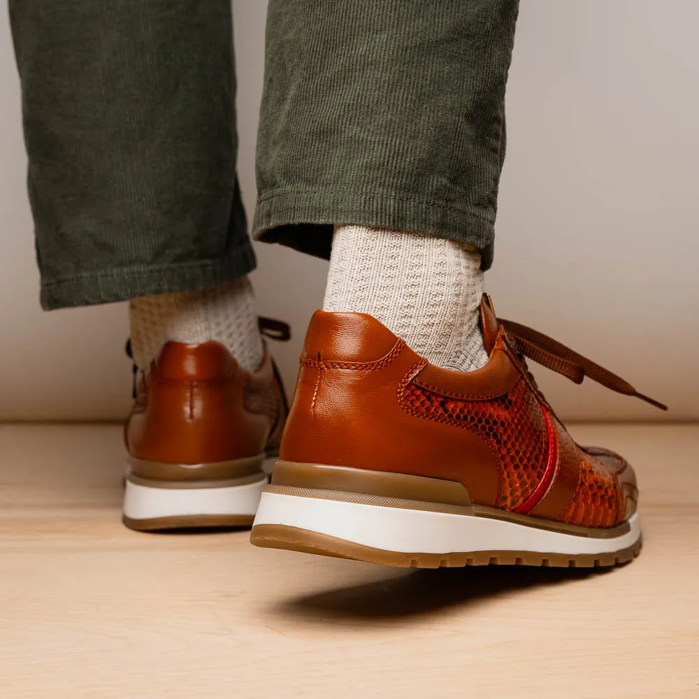 Marco Di Milano Brescia in Honey Python & Calfskin Sneakers