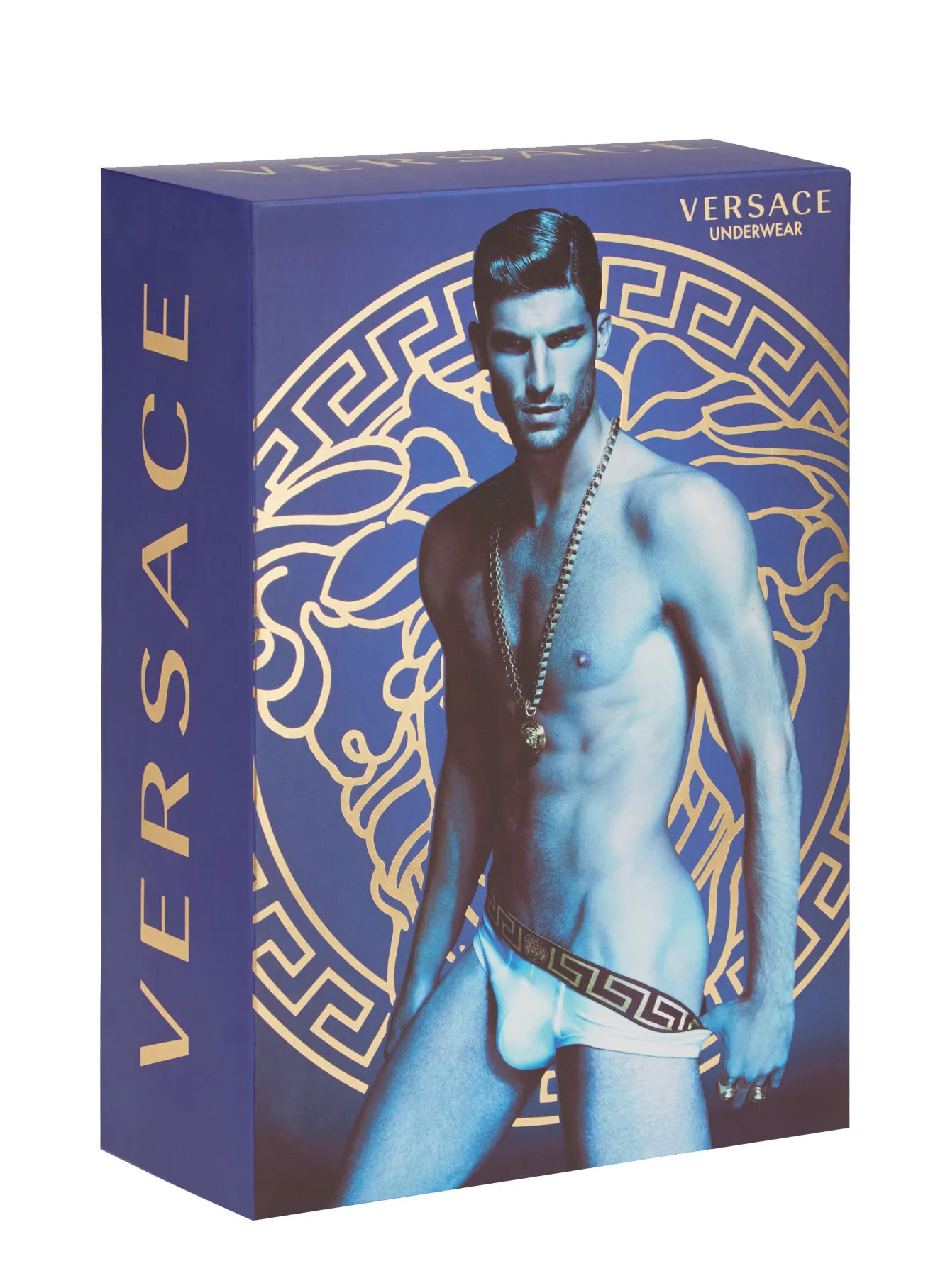 Versace Underwear Long Trunk W/Greca Border |Gray and Gold